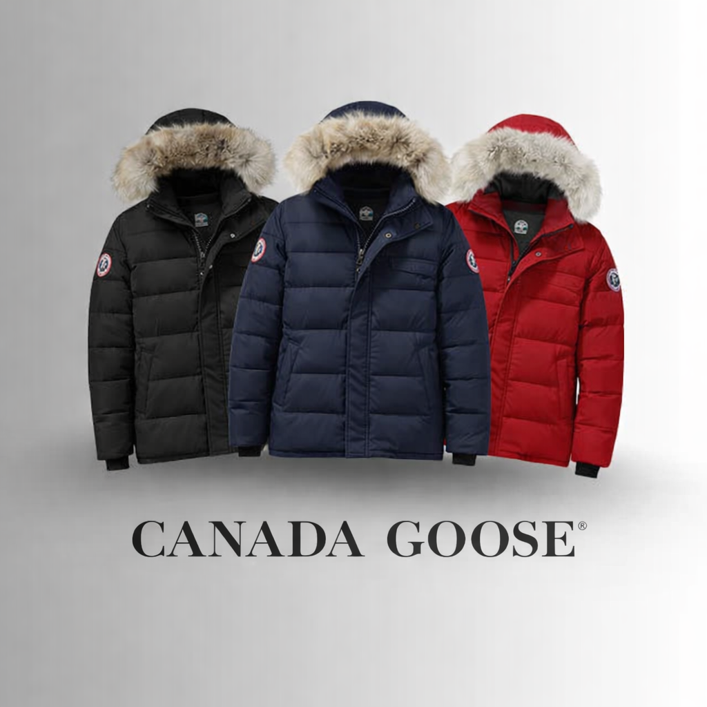 Canada g00se